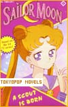Sailor Moon: The Novels by Tokyopop/SMILE Books