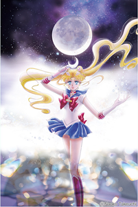 Sailor Moon Kanzenban Volume 1