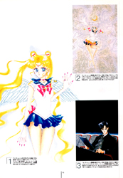 Amateurs Turned Professional Sailor Moon Naoko Takeuchi